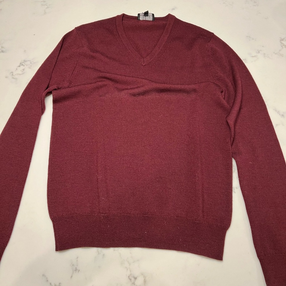 Express Vneck sweater